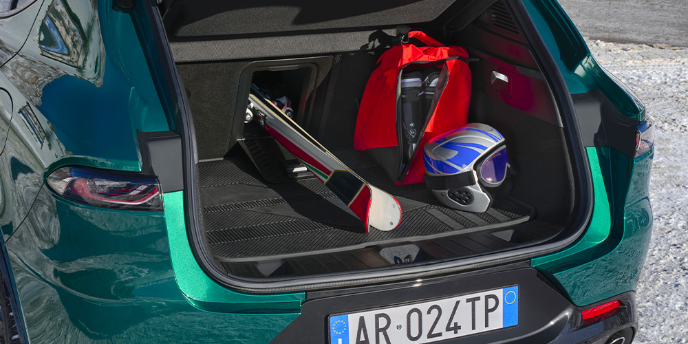 Trunk cover