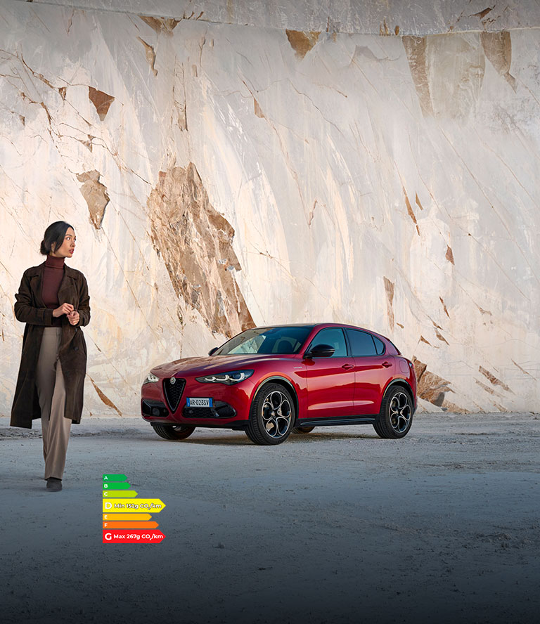 Alfa Romeo Stelvio - Canvas