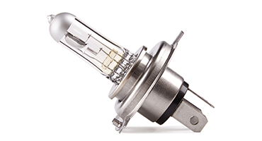 bulbs noname